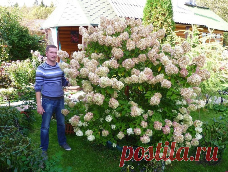 (2) Одноклассники