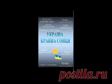 Александр Черных