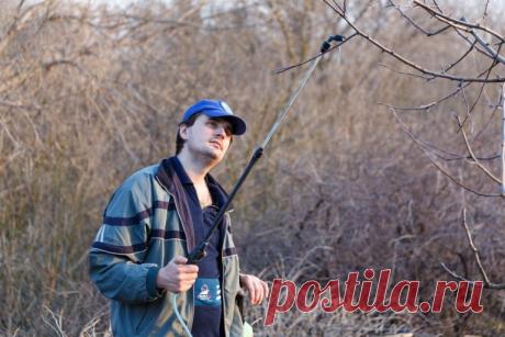 4 обов’язкових весняних обробки саду від хвороб та шкідників – Публікація