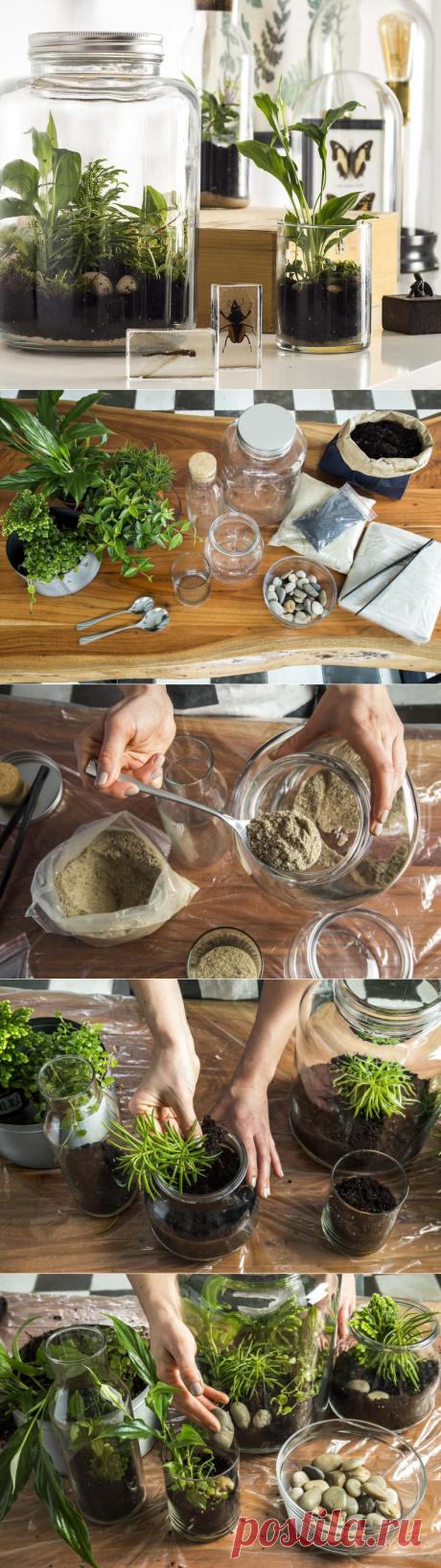 Флорариум своими руками: руководство шаг за шагом для начинающих