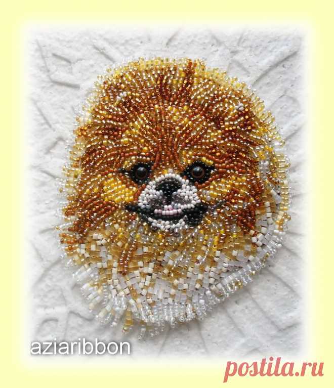 Брошь "Золотой шпиц". | biser.info - всё о бисере и бисерном творчестве