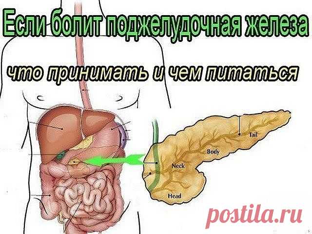 (12) Одноклассники