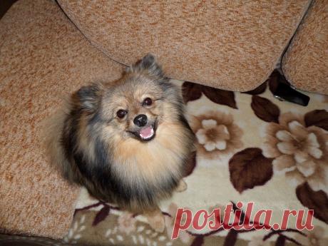 Мишутка отдыхает