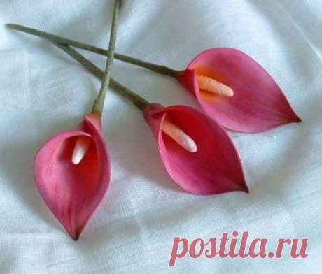 Кала из сахарной мастики. Мастер-класс. | 24 фотографии