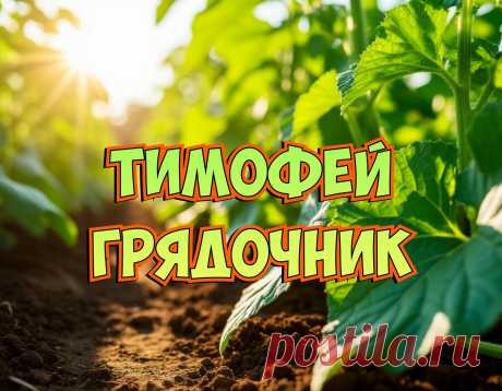 Желаю, чтоб всё получалось,
Удача тебе улыбалась.
Желаю от счастья светиться,
Мечтам и желаниям — сбыться!