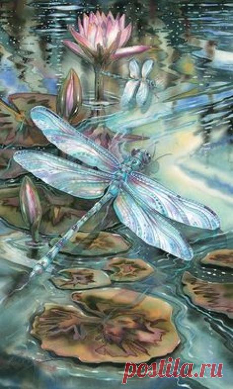 Jody Bergsma