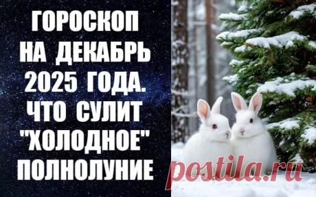 ЧИТАЙТЕ ПРОГНОЗ НА ДЕКАБРЬ 2025 ГОДА -