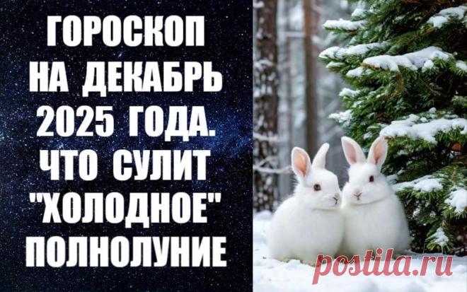 ЧИТАЙТЕ ПРОГНОЗ НА ДЕКАБРЬ 2025 ГОДА -
