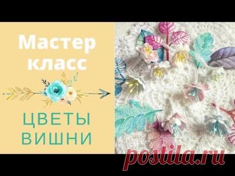 Цветы вишни из акварельной бумаги за 5 минут | Мастер класс | Kate it Create