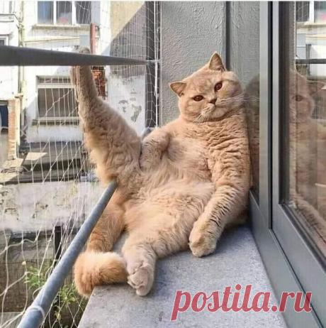 Целый день сидеть так можно... – КРАСИВЫЕ КАРТИНКИ. ВИДЕО. МИР, В КОТОРОМ МЫ ЖИВЕМ! , пользователь Тумбина Марина | Группы Мой Мир