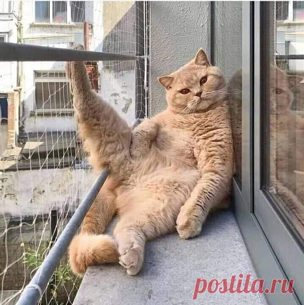 Целый день сидеть так можно... – КРАСИВЫЕ КАРТИНКИ. ВИДЕО. МИР, В КОТОРОМ МЫ ЖИВЕМ! , пользователь Тумбина Марина | Группы Мой Мир