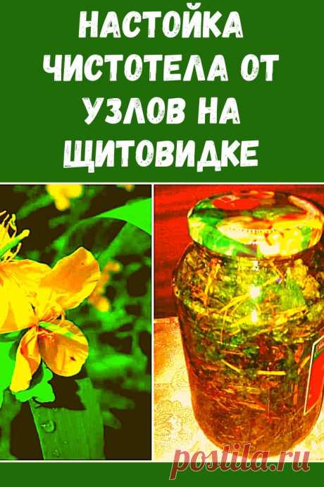 Три года назад мне был поставлен диагноз: хронический аутоиммунный тиреоидит, узловая форма. Через полгода лечения таблетками была предложена операция. Но начала лечение чистотелом.