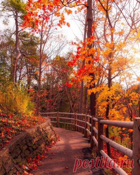 Я люблю ✿ ЦВЕТЫ ✿ | I ♥ Flowers