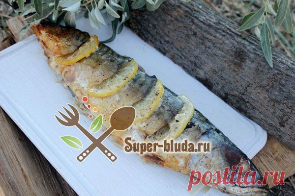 Запеченная скумбрия на мангале | Готовим на природе: шашлыки, уха