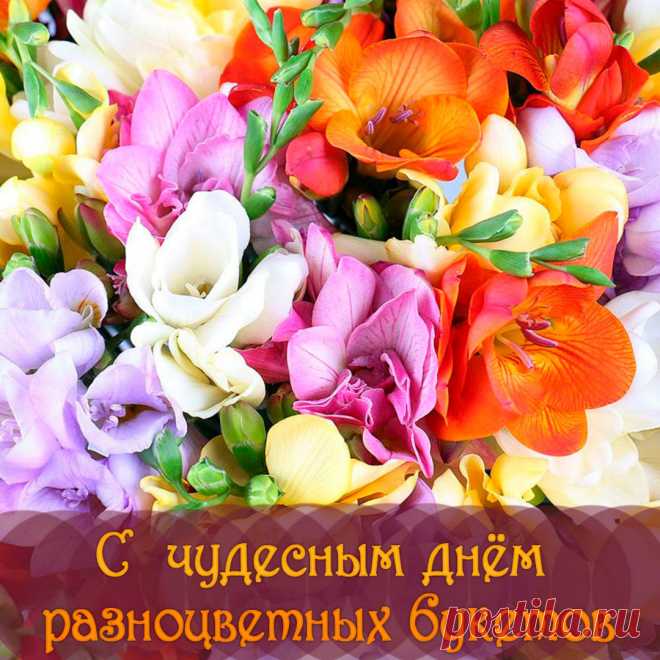 Мой наказ — живи ты всласть,
Ешь икру, в деньгах купайся.
Чтобы жизнь вся удалась,
Ты ей просто наслаждайся!