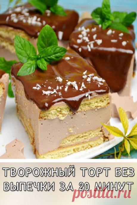 Творожный торт без выпечки за 20 минут. Нежный кремовый вкус
Желированный творог приобретает особый кремовый вкус, он очень похож на начинку конфет «Птичье молоко». Толстый слой шоколадной глазури придает «образу торта» полную завершенность. Этот торт невозможно испортить, а весь процесс сборки слоев займет всего 15-20 минут.