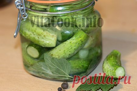 Рецепт малосольных огурцов - вкусные и хрустящие