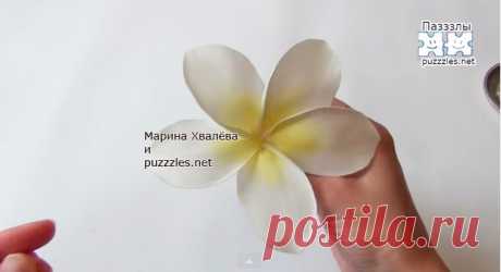 Неувядающая флористика из фоамирана Винница.