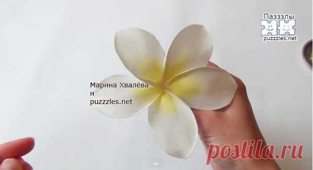 Неувядающая флористика из фоамирана Винница.
