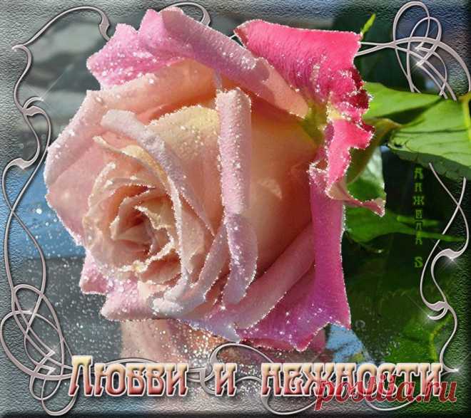 0_1498c1_1b614019_orig (900×800)