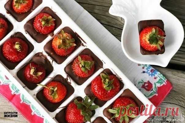 10 отличных идей использования формочки для льда..