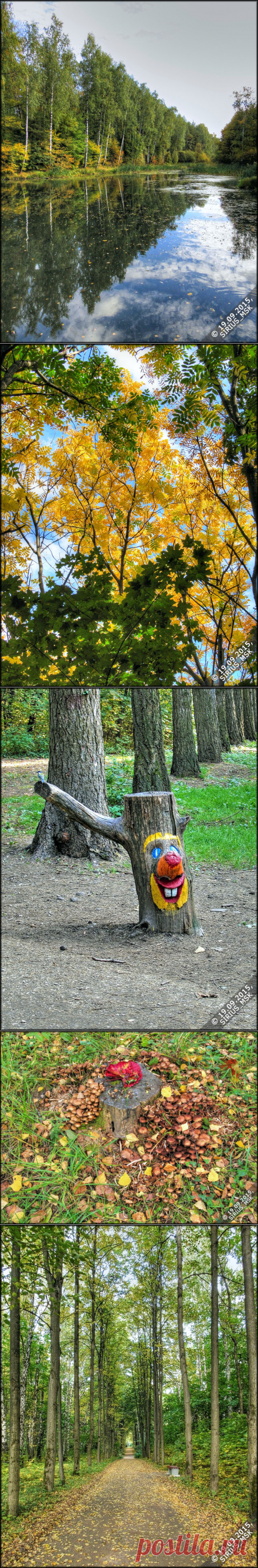 Фото (HDR+TM) :: 19.09.2015 г., ч. 1. :: Бирюлёвский дендропарк (ПИП «Царицыно») - дендрарий. - 11 Февраля 2016 - Авторский фотосайт Sirius_MSK