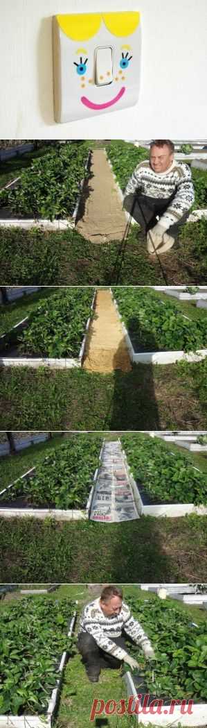 КАК СДЕЛАТЬ ЧТОБЫ В ПРОХОДАХ МЕЖДУ ГРЯДКАМИ ТРАВА НЕ РОСЛА | Хитрости Жизни