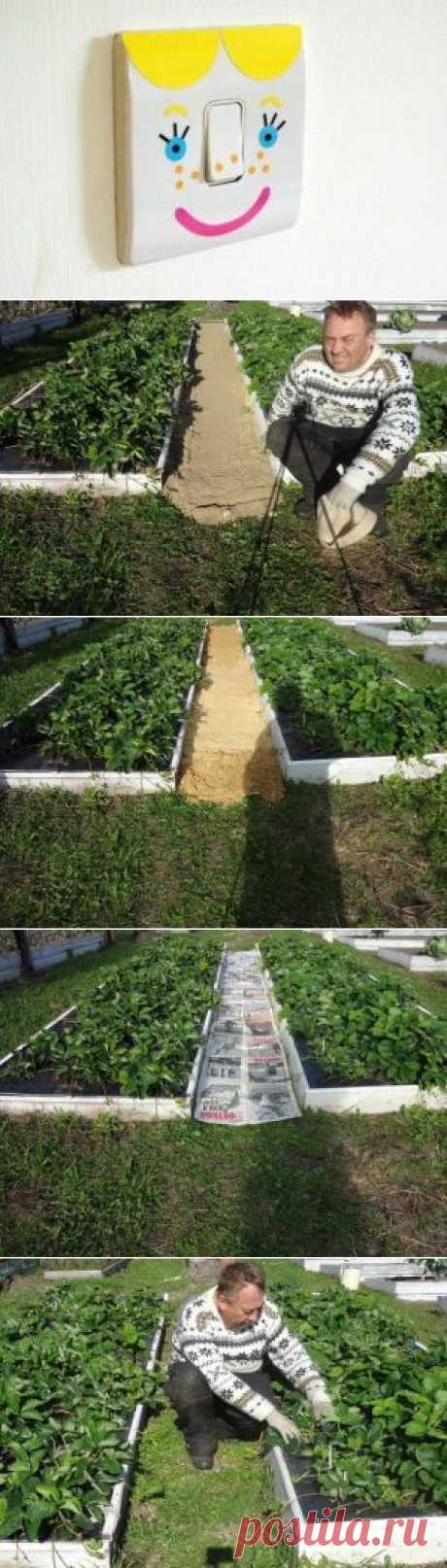 КАК СДЕЛАТЬ ЧТОБЫ В ПРОХОДАХ МЕЖДУ ГРЯДКАМИ ТРАВА НЕ РОСЛА | Хитрости Жизни