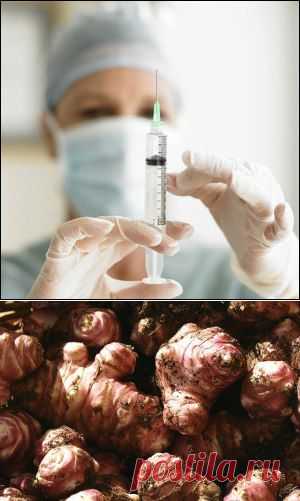 БЕСПЛАТНЫЙ ИНСУЛИН РАСТЕТ НА ОГОРОДЕ!!! | Познавательный сайт ,,1000 мелочей"