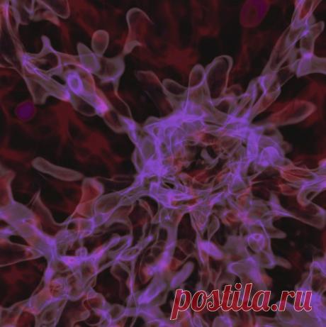 Найден новый тип черной дыры / Интересный космос