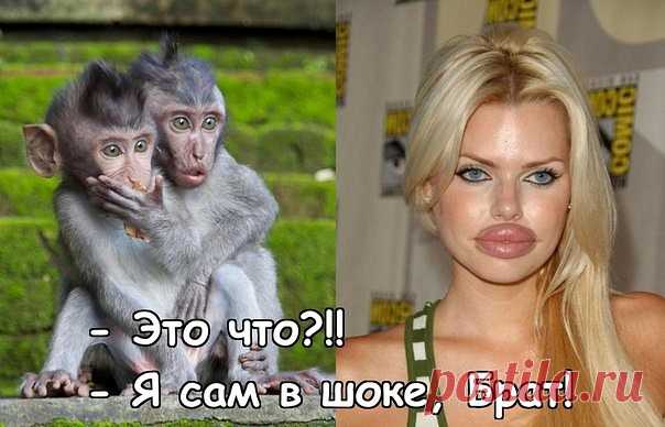 Юмор | Записи в рубрике Юмор |