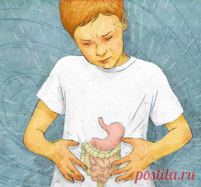 Ежедневно мы употребляем продукты, которые диетологи причисляют к категории здоровой и полезной пищи. Но не все из них говорят о том, что при неправильном приготовлении или хранении, ими очень легко отравиться.