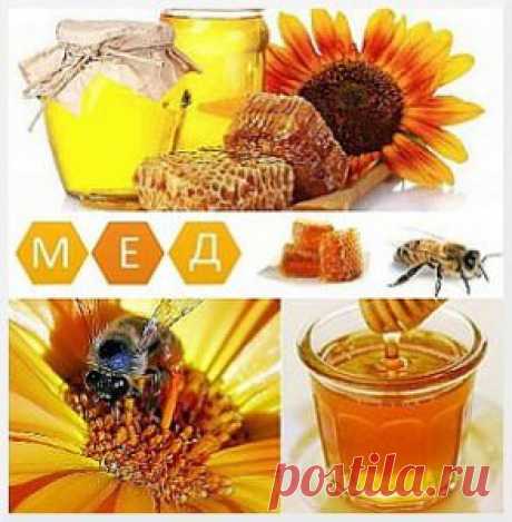 Мед при различных заболеваниях