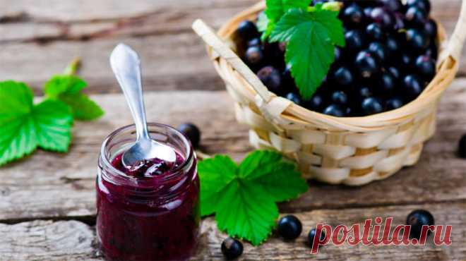 Желе из красной и черной смородины с мятой на зиму | Просто вкуснятинки