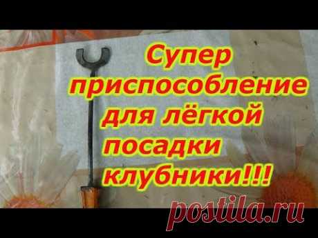 СУПЕР ПРИСПОСОБЛЕНИЕ ДЛЯ ПОСАДКИ ЗЕМЛЯНИКИ(КЛУБНИКИ)