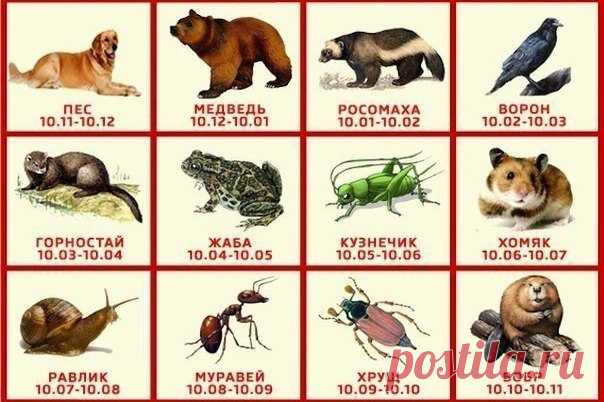 Славянский гороскоп Зверей