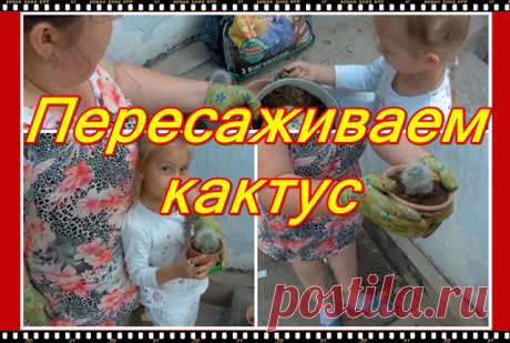 Анонс, следующего  видео, канала Румянцевых  на 19.07.2018. Фото