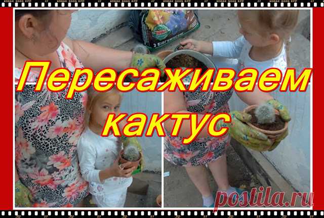 Анонс, следующего  видео, канала Румянцевых  на 19.07.2018. Фото