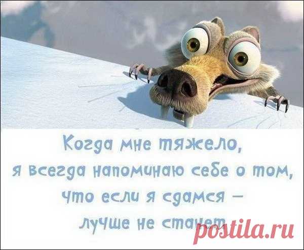 Смешные «Аткрытки» | Чёрт побери