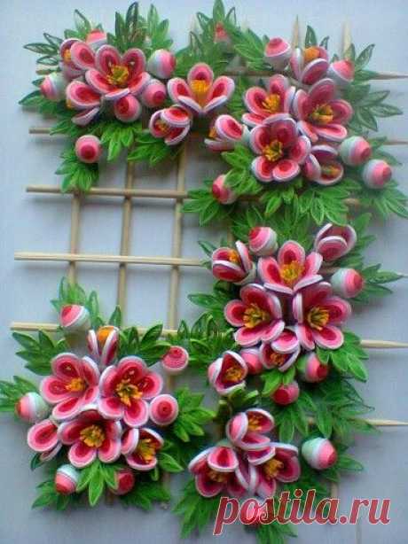 (74) Pinterest
