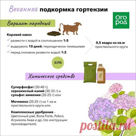 (20+) Facebook