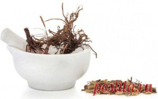 Растения для нервов.