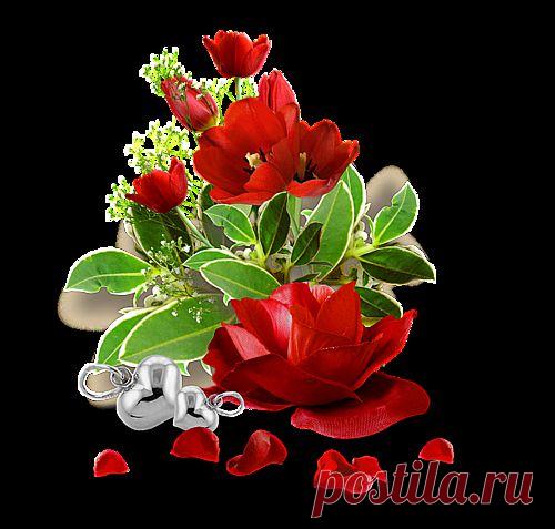 5 правил здоровья Болотова