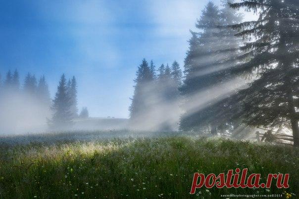 Утро в Карпатах, Украина. Автор фото — Александр Науменко: nat-geo.ru/photo/user/47175/