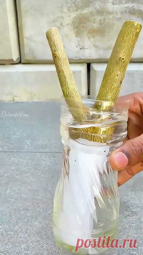 Cosecha de limones en una maceta 🍋 #agricultura #limon #shorts