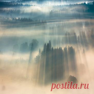 Туманный пейзаж на восходе солнца,Чехия