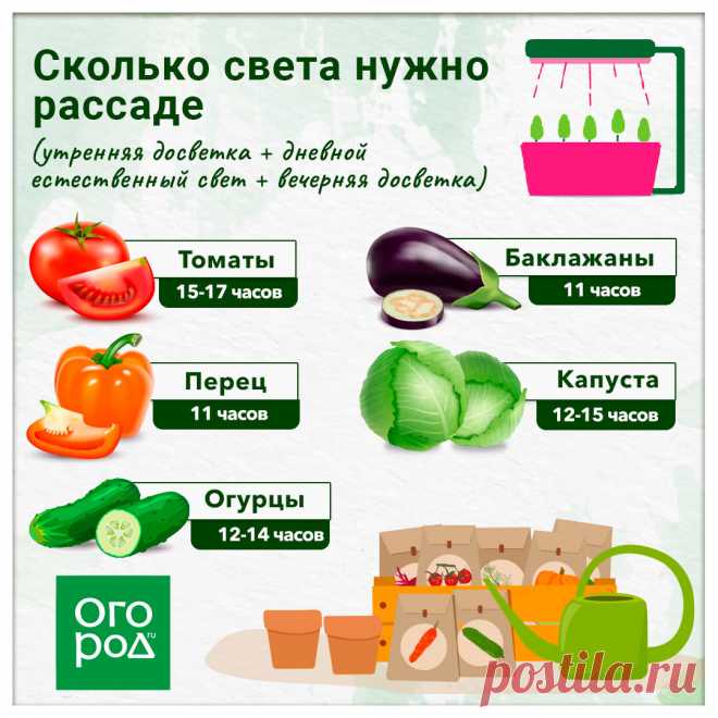 Сколько света нужно рассаде