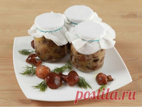 Заготовка грибов со сливочным маслом. Такой вкуснятины вы ещё не пробовали Рецептов заготовки грибов впрок мно­жество, но такого вы вряд ли встречали. Грибы можно солить со сливочным маслом. Они получаются очень вкусные и нежные. Перед тем как подать такие грибы на стол, не забудьте их промыть...
