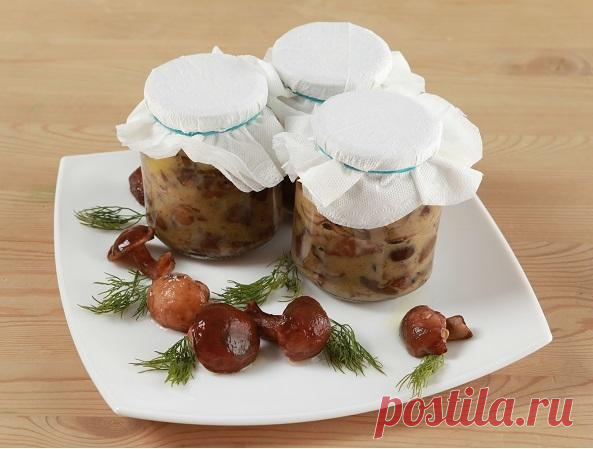 Заготовка грибов со сливочным маслом. Такой вкуснятины вы ещё не пробовали Рецептов заготовки грибов впрок мно­жество, но такого вы вряд ли встречали. Грибы можно солить со сливочным маслом. Они получаются очень вкусные и нежные. Перед тем как подать такие грибы на стол, не забудьте их промыть...