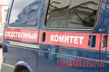 СК возбудил дело после происшествия на избирательном участке в Москве. Вылившей краску в урну для бюллетеней в Москве может грозить лишение свободы до пяти лет.